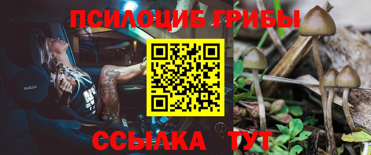 Благовещенск  купить наркотики сайты  Вход с VPN  Галлюциногенные грибы ЛСД 
